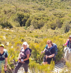 1. Four happy guests on Routeburn Track