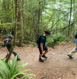 1. Guests walking Kepler Track beech forest