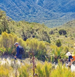 1. Hiking to Key Summit on Routeburn Track