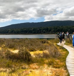 1. Kepler Track wetland boardwalk