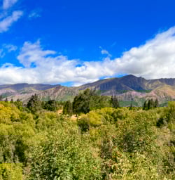 1. Views from the Arrow River trail