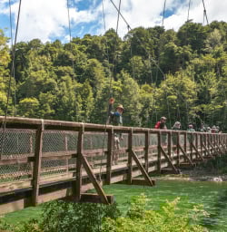 1.5 Kepler Track guests crossing bridge