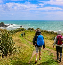 Walking at West Coast, New Zealand