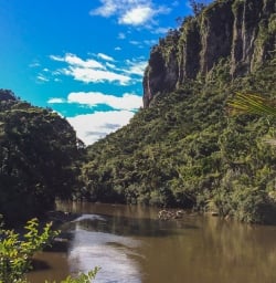 Porarari River at Paparoa National Park, West Coast New Zealand