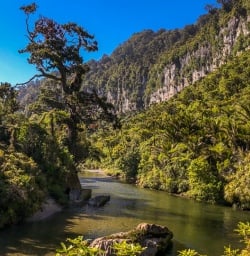 Pororari river, Paparoa National Park West Coast New Zealand
