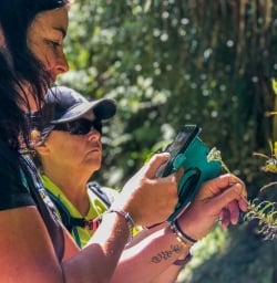Taking picture of a flower at Pororari river, Paparoa National Park West Coast New Zealand
