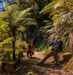 Taking picture at Pororari river, Paparoa National Park West Coast New Zealand