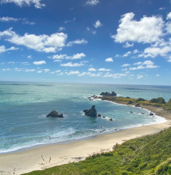 Views of Cape Foulwind
