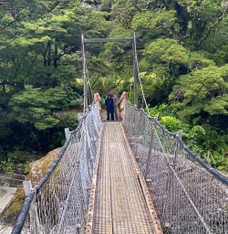 Kepler Track