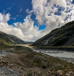 Fox Glacier valley, West Coast New Zealand