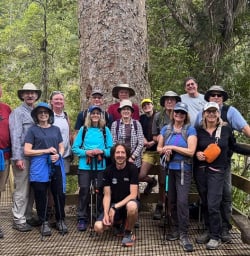 140125 Waiomu Kauri Grove