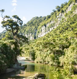 Pororari River Track