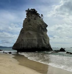2 Coromandel Coastline Rock Formation March2025