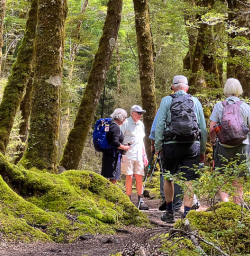 Explore the Kepler Track with New Zealand Trails
