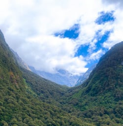 Fiordland National Park hiking tours2