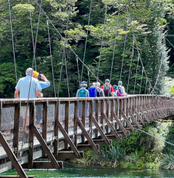 Kepler Track hiking tours