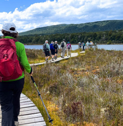 Kepler Track walking tours with New Zealand Trails 