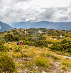 Key Summit Trail, Routeburn Track, Fiordland National Park Southland New Zealand
