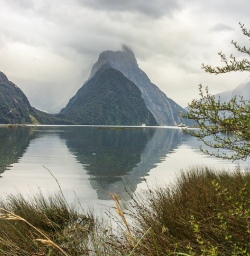 Mitre Peak at Milford Sound, Fiordland National Park Southland New Zealand