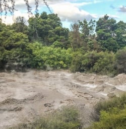Mud Pool at Rotorua, Bay of Plenty New Zealand