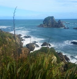 2 west coast new zealand 1