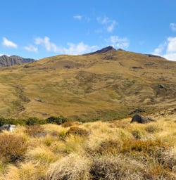 2. Views from Kepler Track