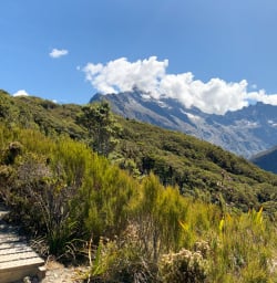 2.5 Guest hiking up Routeburn Track