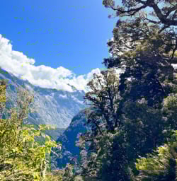 2.5 Views from the Routeburn Track