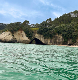 Cathedral Cove Coast 