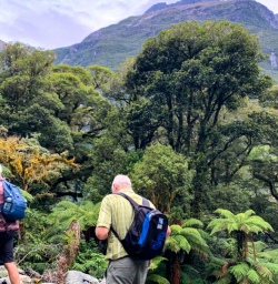3 Hikers on Milford Track Walk