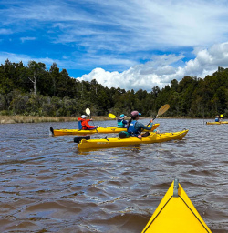 Kayaking adventures in Okarito Lagoon