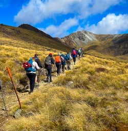 Kepler Track hiking and walking tours