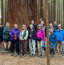3 Redwoods Hike in Rotorua 11MAR25