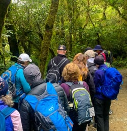 Routeburn Track adventure tours 