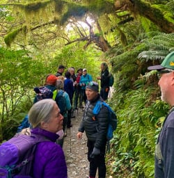 Routeburn Track hiking and adventure tours 