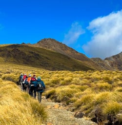 Venturing along the Kepler Track