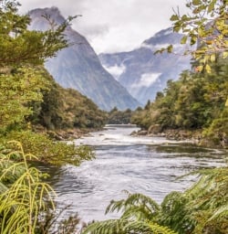 Arthur River, Milford Track Fiordland Southland New Zealand