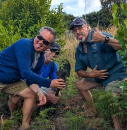 Native plants Mou Waho