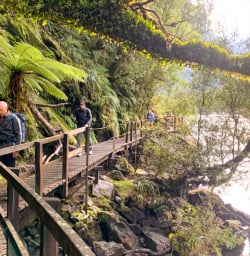 3. Guests walking boardwalk Milford Track