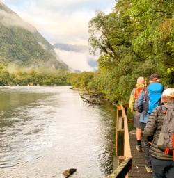 3. Milford Track start