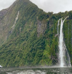 3. Stirling Falls Milford Sound
