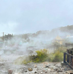 3. Thermal hot springs at Whakarewarewa