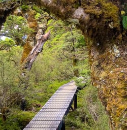 Key Summit hiking tours 