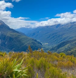Small group tour to Fiordland National Park 