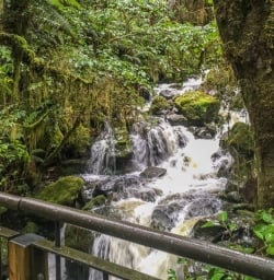 The Chasm, Cleddau River, Fiordland New Zealand