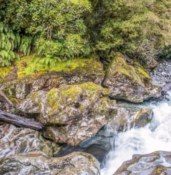 Chasm at Cleddau River, Fiordland National Park Southland New Zealand