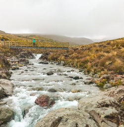 4. Bridge crossing Tongariro