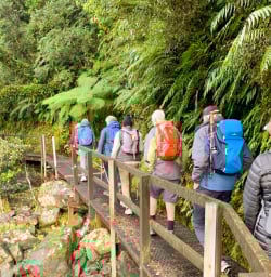 4. Guests on Milford Track