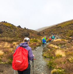 4. Guests on Tongariro Crossing