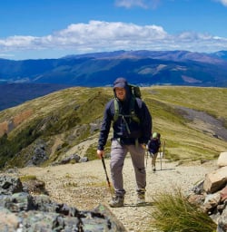 Bushline hut hiking tours 